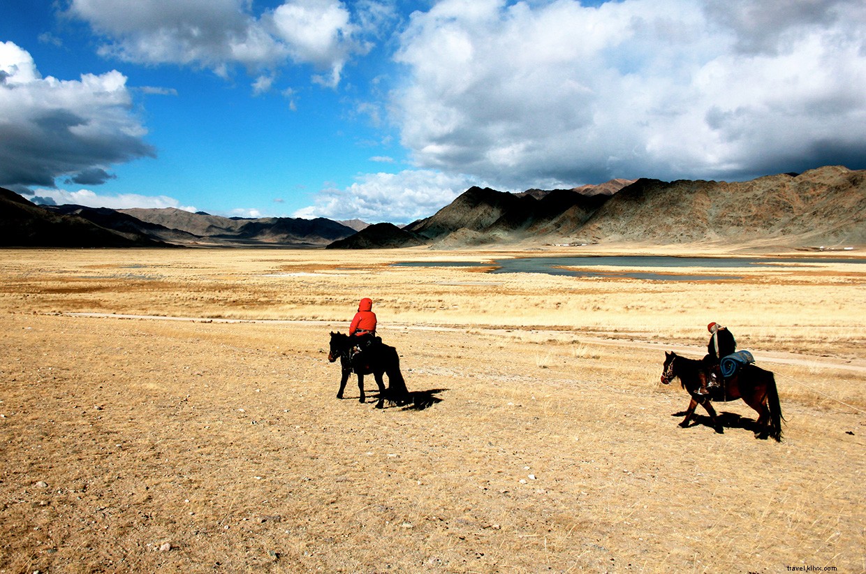 Galloping into Dusk: A Thrilling Horseback Adventure