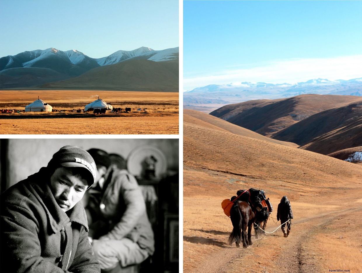 Galloping into Dusk: A Thrilling Horseback Adventure