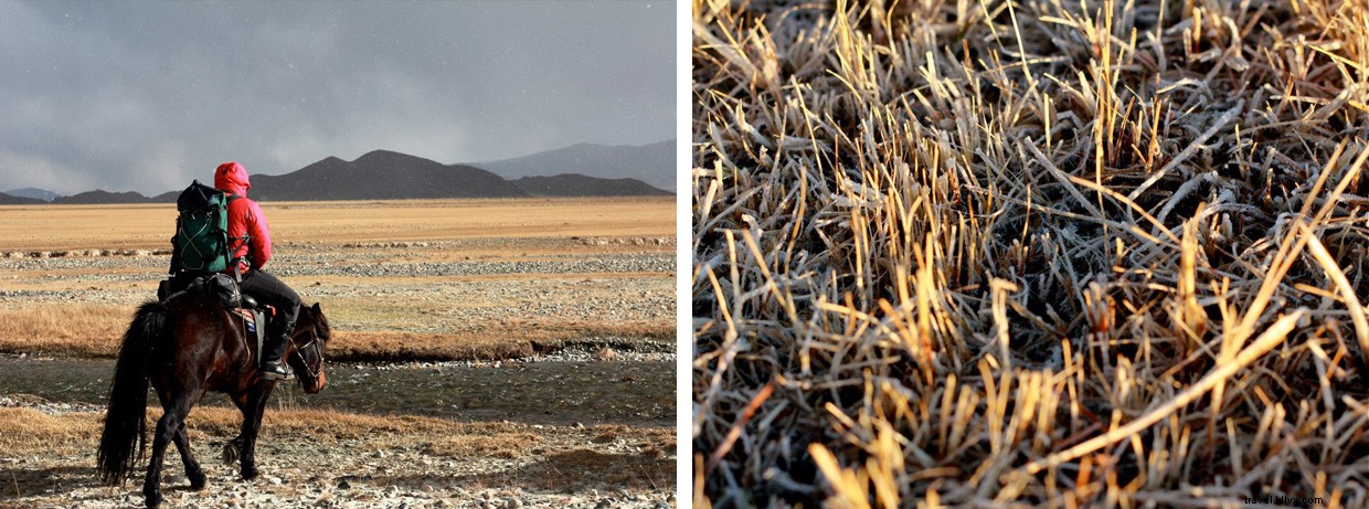 Galloping into Dusk: A Thrilling Horseback Adventure