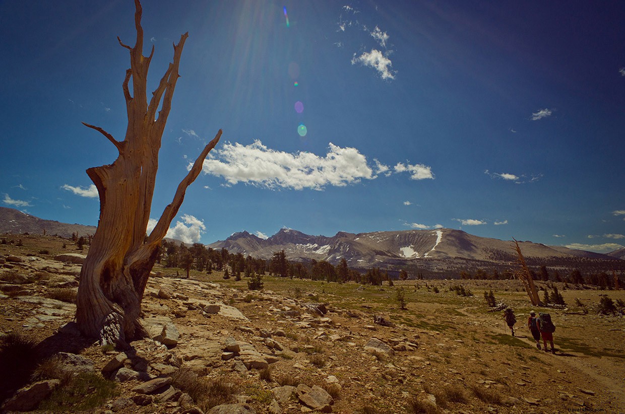 Conquering Donohue Pass: The 219-Mile John Muir Trail Adventure