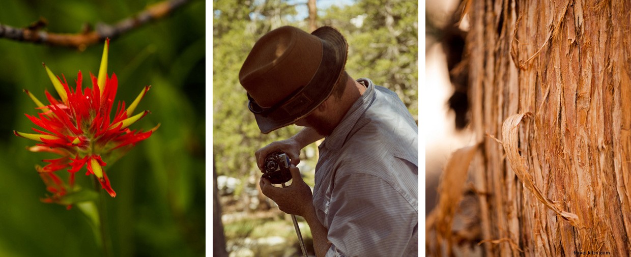 Conquering Donohue Pass: The 219-Mile John Muir Trail Adventure