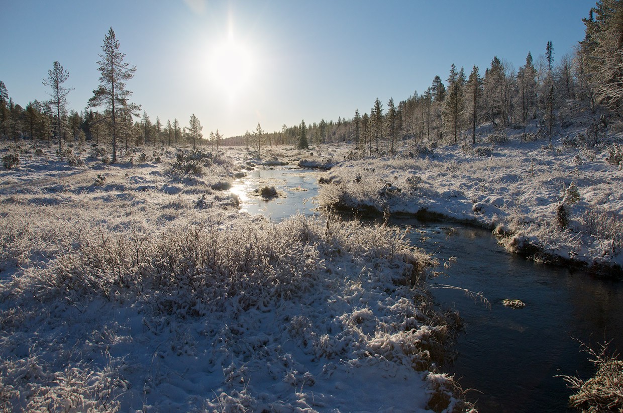 Explore Urho Kekkonen National Park: Finland s Majestic Wilderness