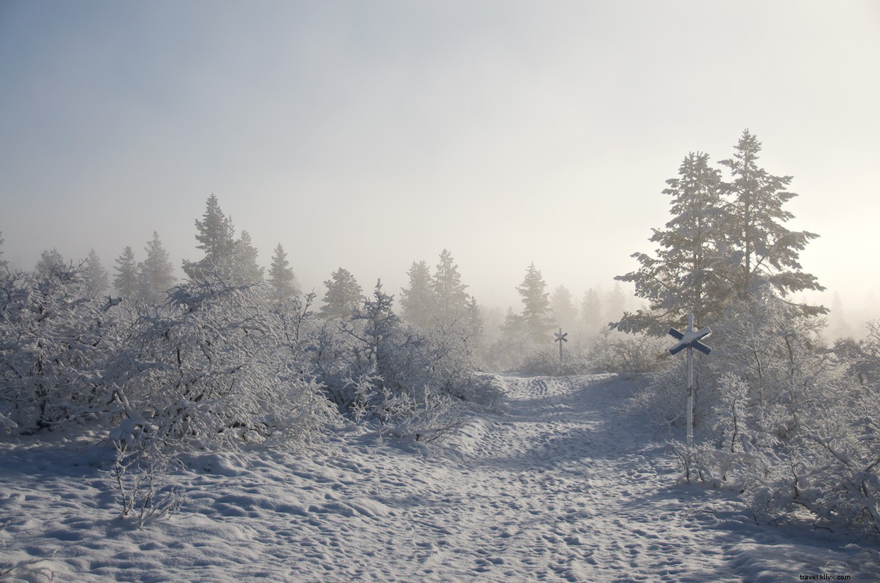 Explore Urho Kekkonen National Park: Finland s Majestic Wilderness