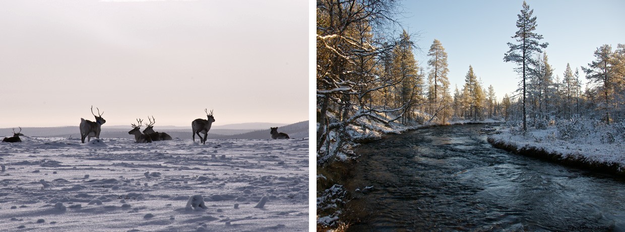 Explore Urho Kekkonen National Park: Finland s Majestic Wilderness