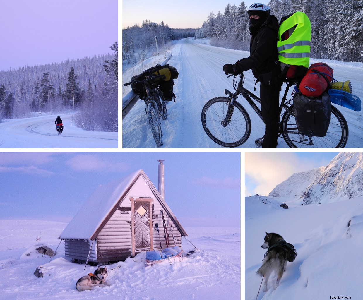 A Journey Through the Arctic Blue Night: Snowshoeing, Cycling, and Companionship