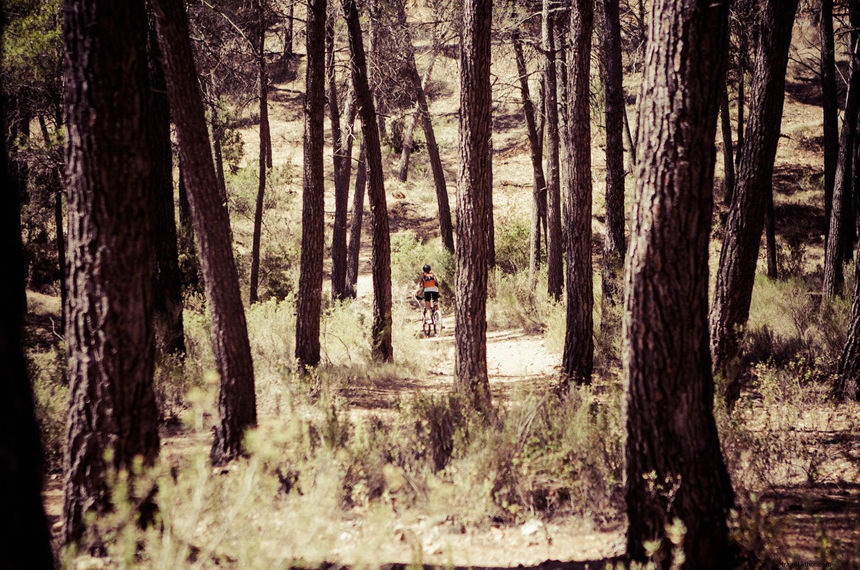 Sierra Espuna: Living in the Heat—My Climate Chronicles