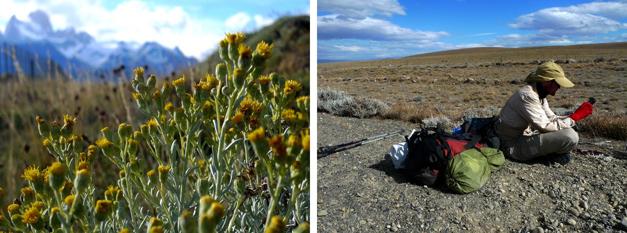 Two Days Exploring Patagonia: From Chilean Shores to Argentine Waters