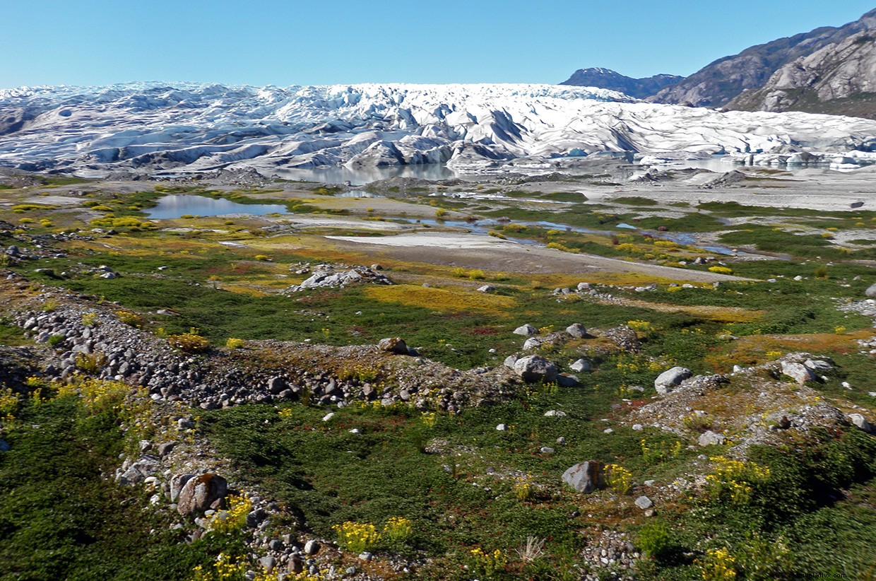 Patagonia Expedition: Surviving the Marshlands
