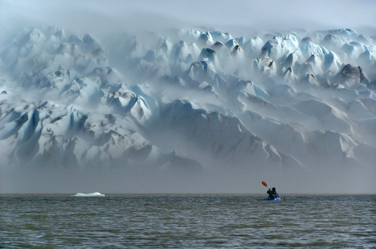 Patagonia Expedition: Surviving the Marshlands