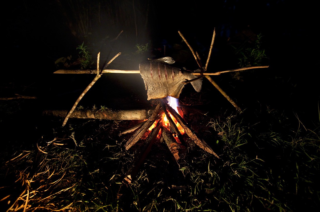 Exploring the Tumucumaque: A Journey Through Brazil’s Vast Jungle
