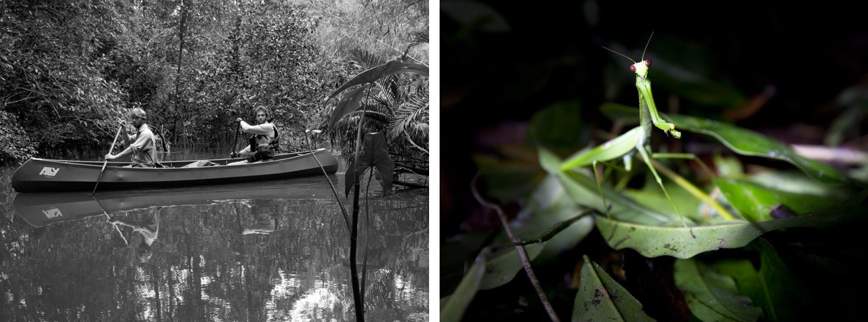 Exploring the Tumucumaque: A Journey Through Brazil’s Vast Jungle