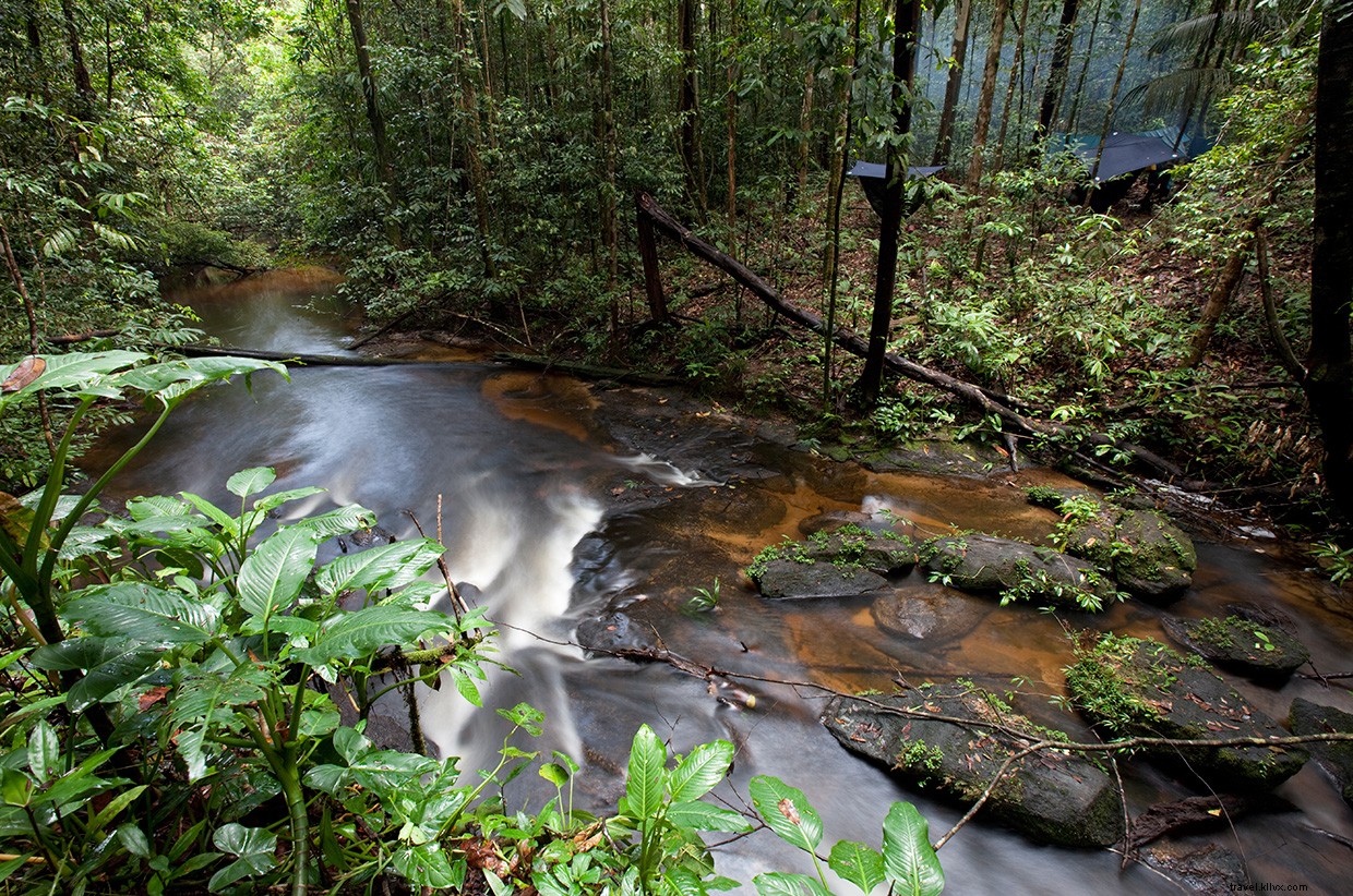 Exploring the Tumucumaque: A Journey Through Brazil’s Vast Jungle