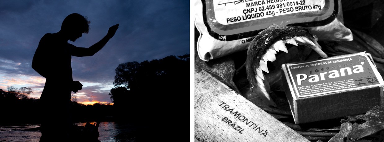 Exploring the Tumucumaque: A Journey Through Brazil’s Vast Jungle