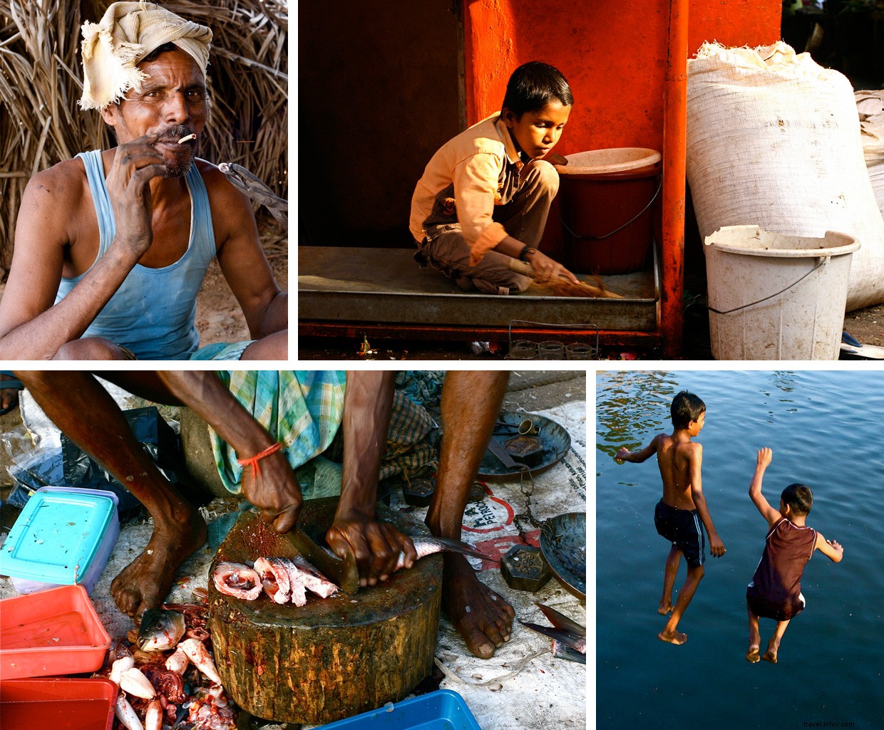 Journey Along India s Sacred Kaveri River: A 6‑Week Trek from Shore to Source