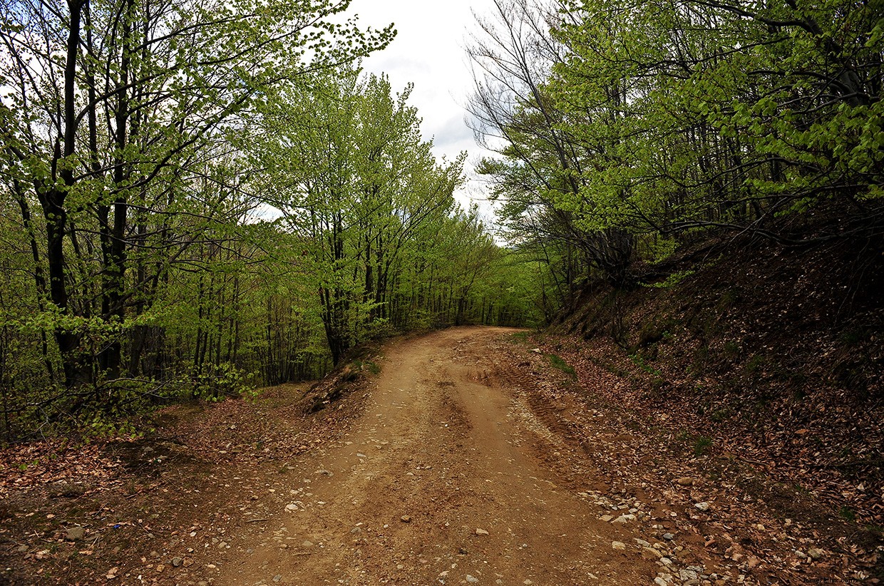 The Universe Provides: Finding Purpose on a Remote Wilderness Journey