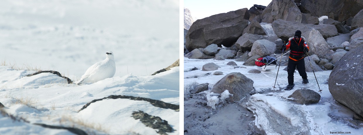 Auyuittuq National Park: A Ten‑Day Arctic Pulking Expedition