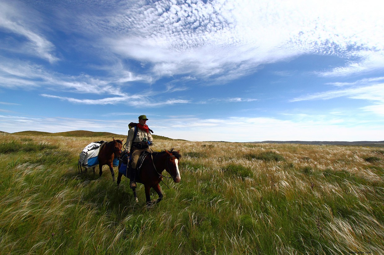 A Gift for the Darkness: A Wilderness Survival Tale