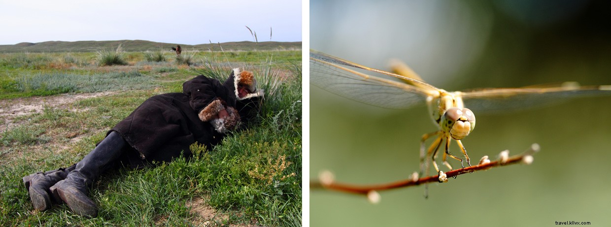 A Gift for the Darkness: A Wilderness Survival Tale