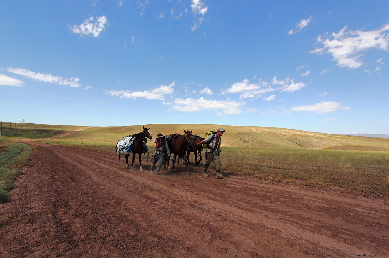 A Gift for the Darkness: A Wilderness Survival Tale