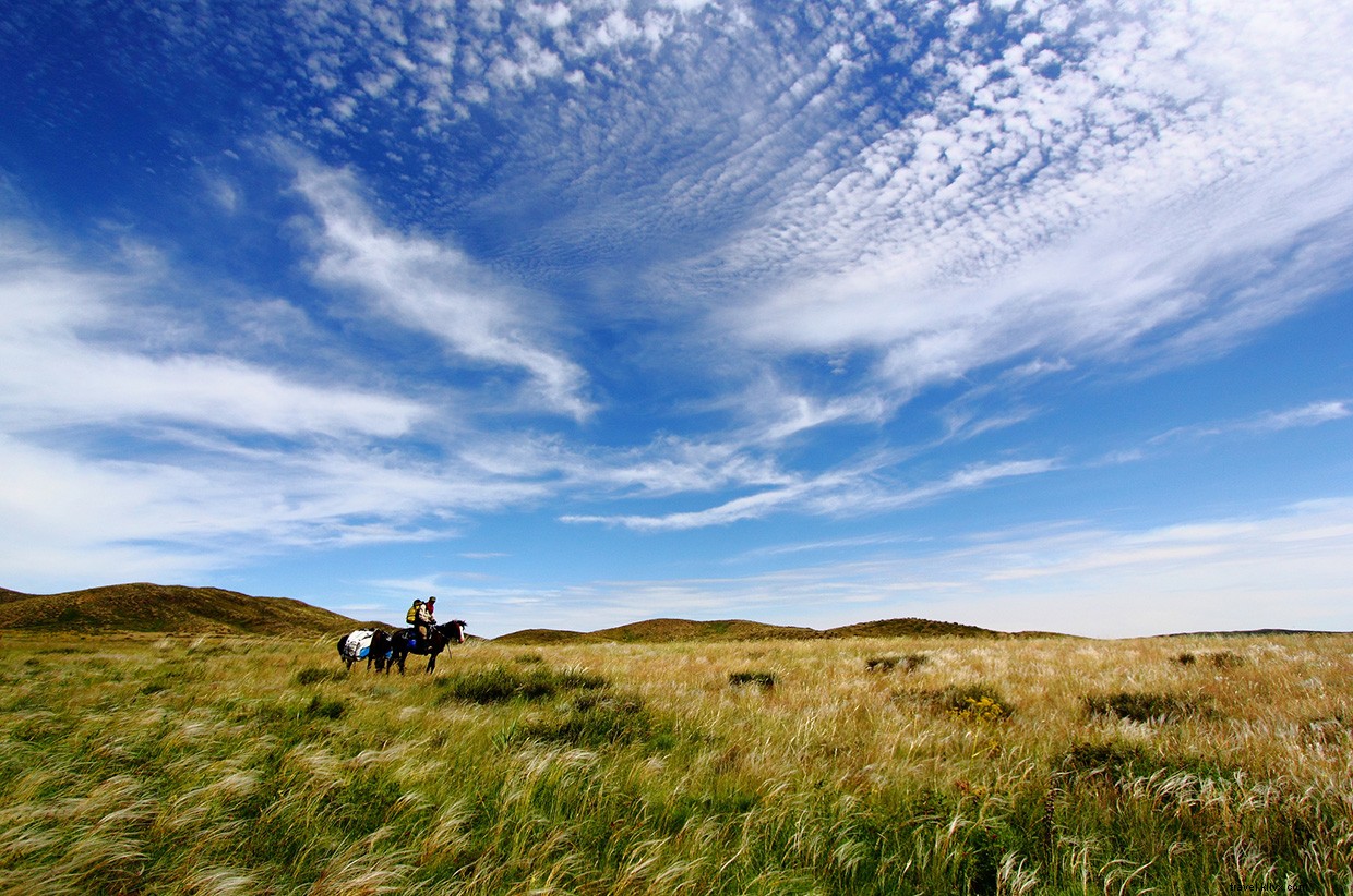 A Gift for the Darkness: A Wilderness Survival Tale