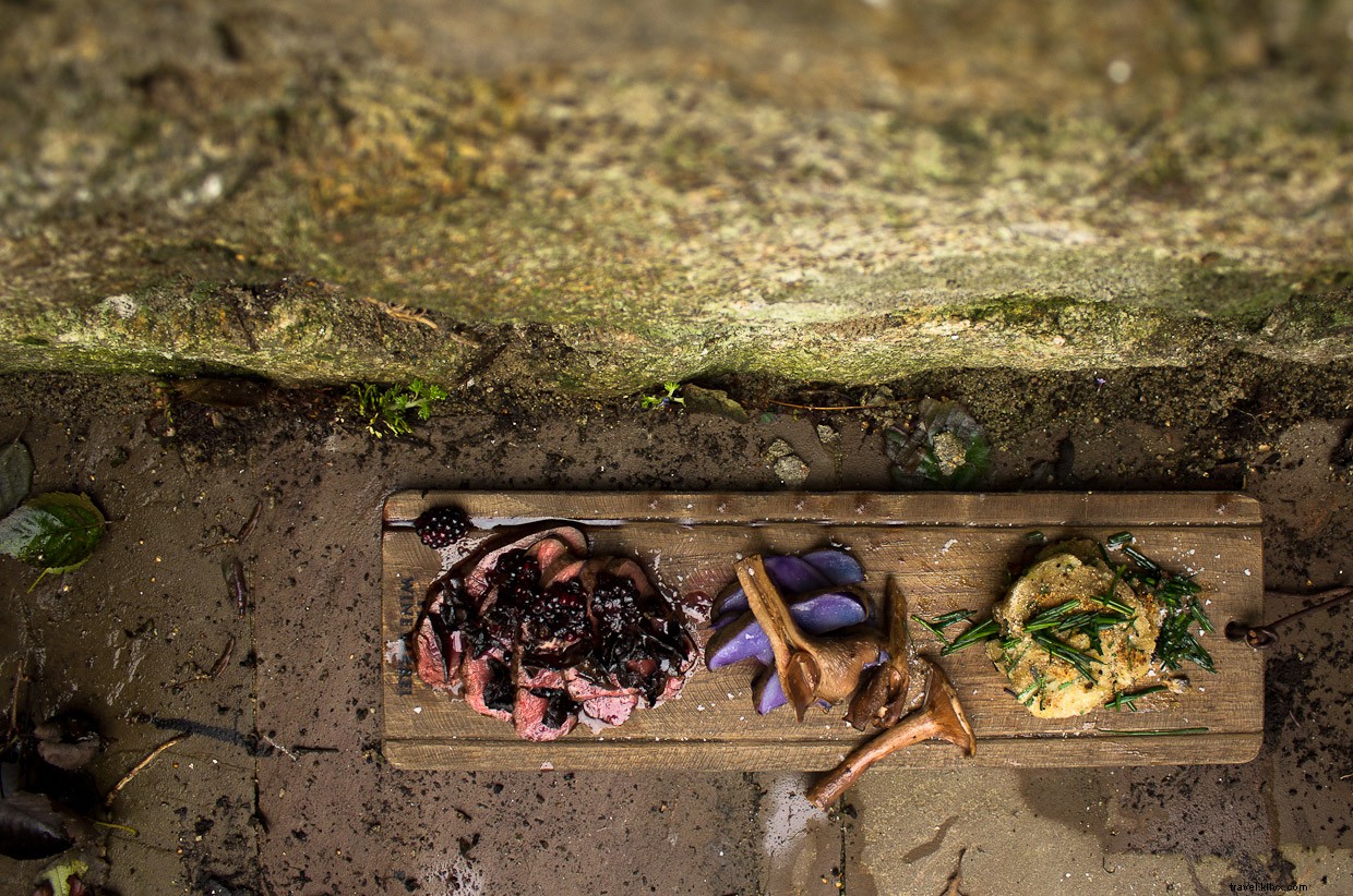 Root and Branch: The Dynamic World of Wild Foraging Restaurants