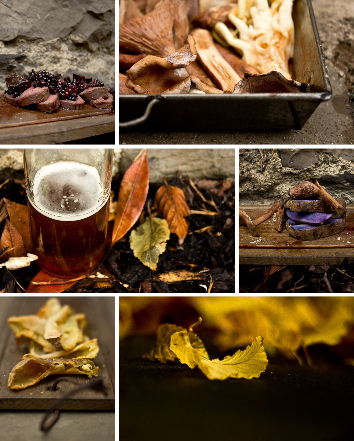 Root and Branch: The Dynamic World of Wild Foraging Restaurants