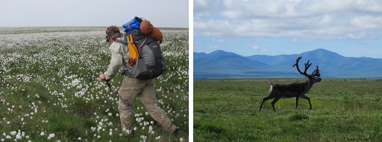 Northern Arctic Expedition: 24-Hour Light, Midnight Adventures