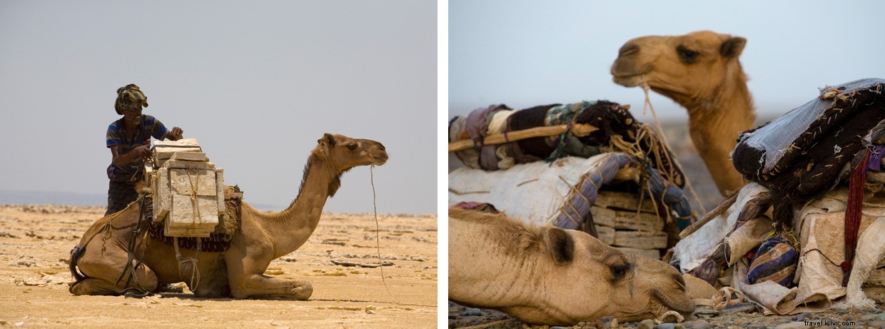 Exploring the Danakil Depression: A Journey Through Earth s Fiery Furnace