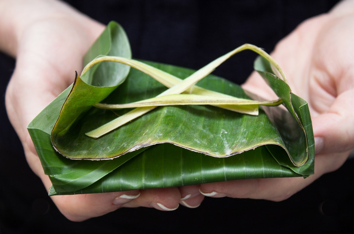 Explore Majestic Mountains and Exotic Tropical Spices