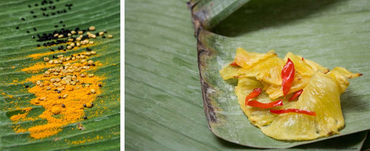 Explore Majestic Mountains and Exotic Tropical Spices