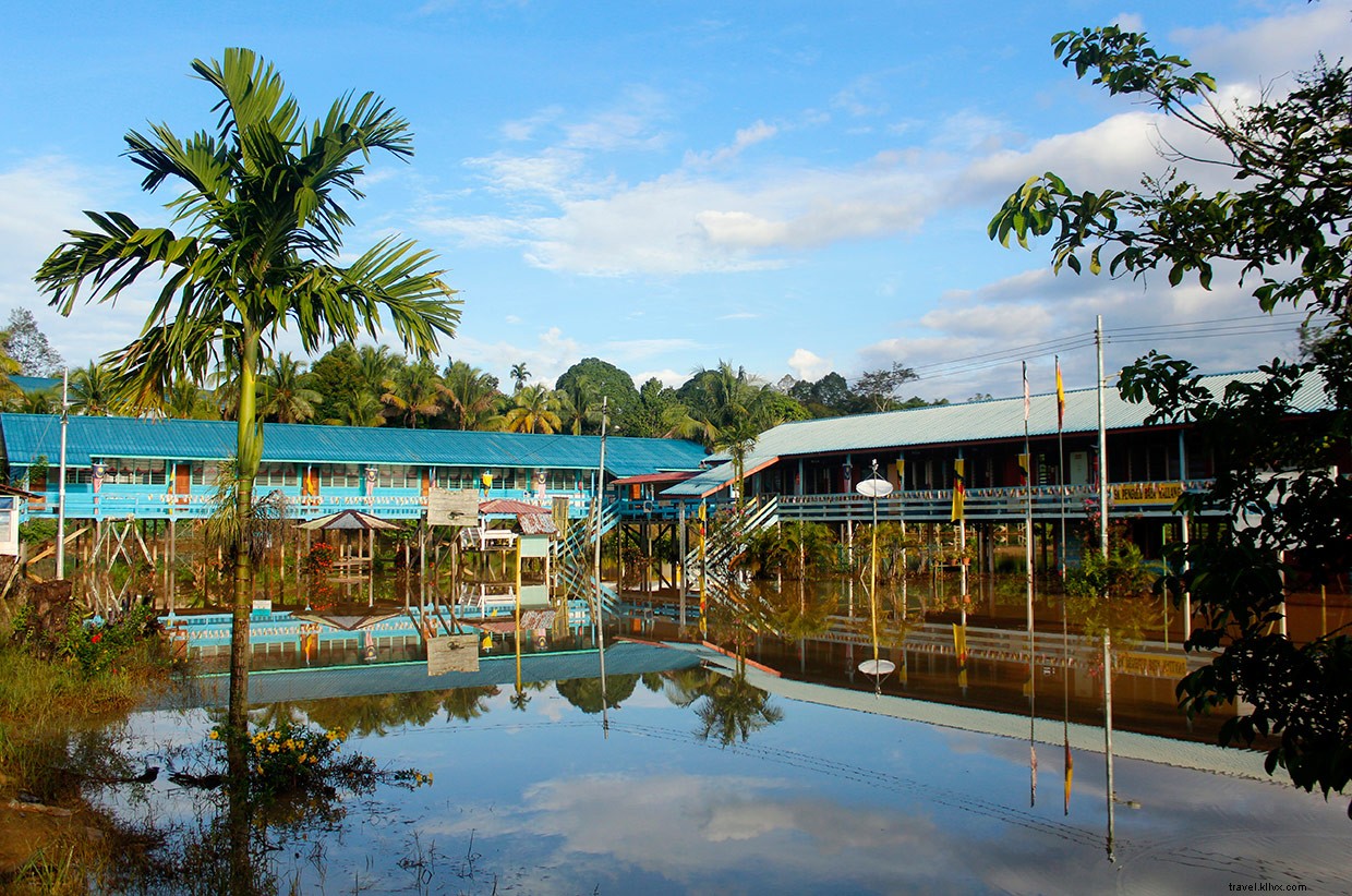 Borneo Jungle Expedition: Flash Floods, Blowpipes, and Wild Boar