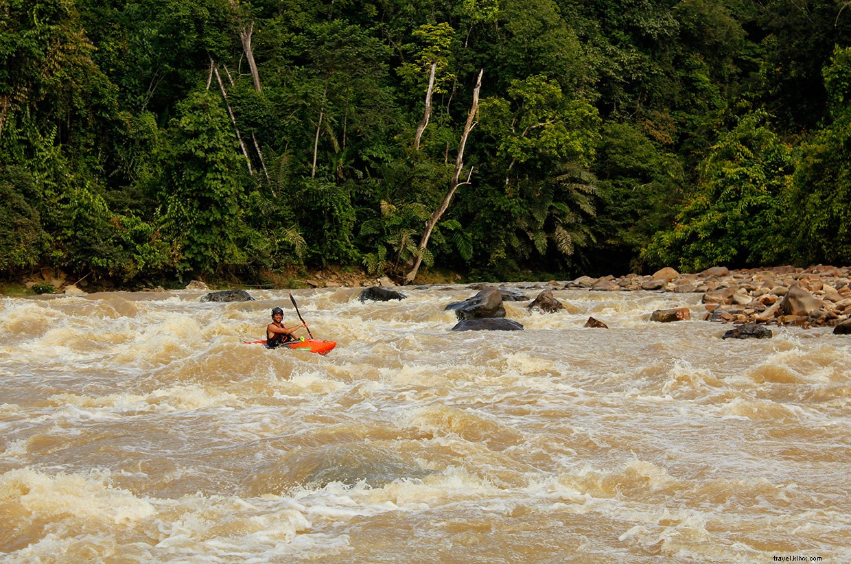 Borneo Jungle Expedition: Flash Floods, Blowpipes, and Wild Boar