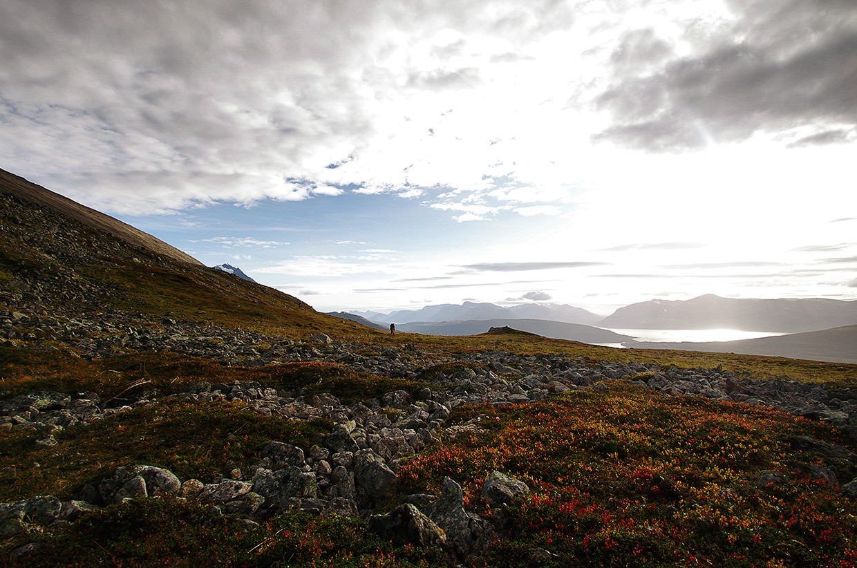 Into Seclusion: A Journey from Cardiff to Gatwick