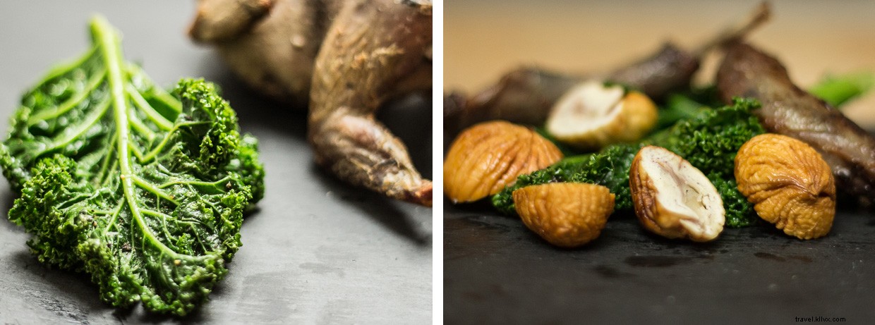 Scottish Peatlands & Heather: A Heritage Journey