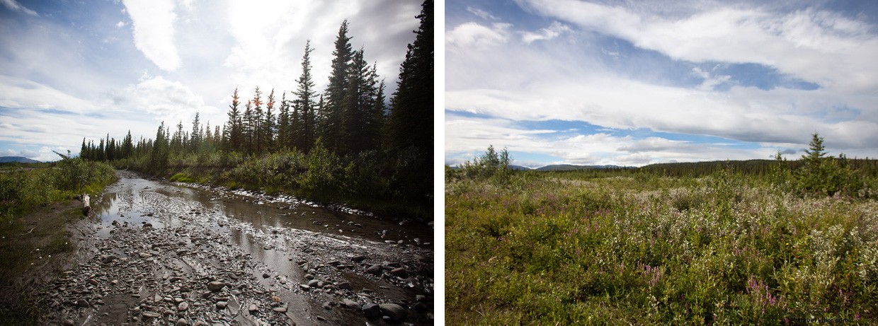 Discovering Alaska s Hidden Magic