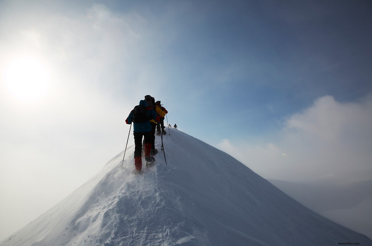 Svalbard: Finding Freedom Amid Arctic Isolation