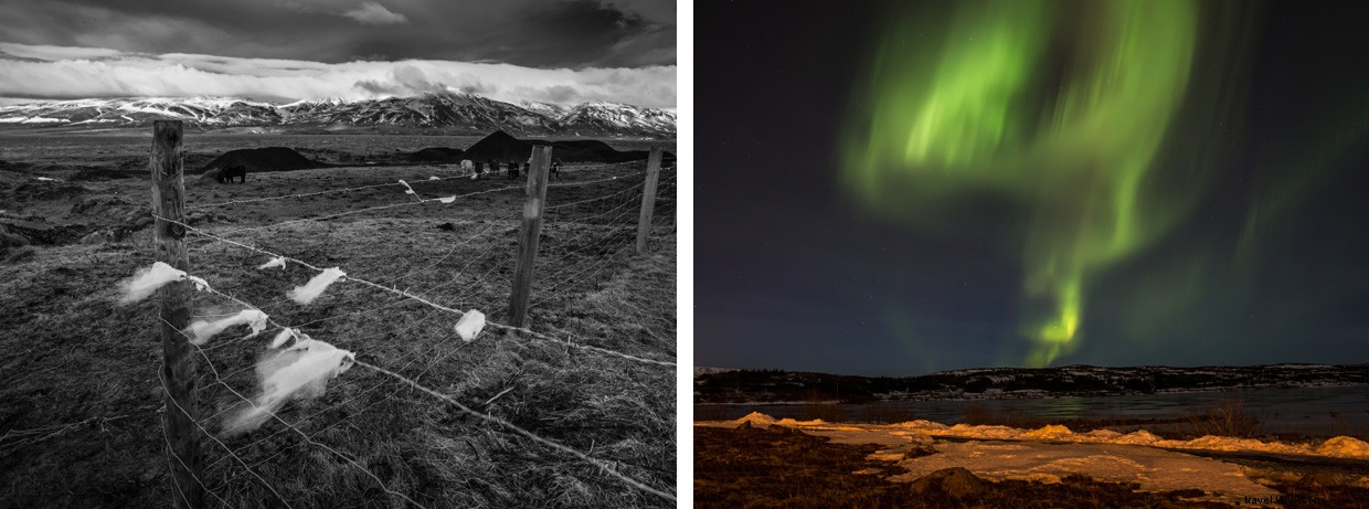 Iceland s Luminous Lights: A Photographer s Journey