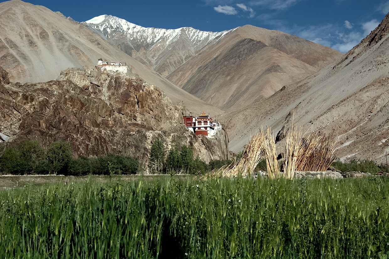 Royal Enfield Adventure: Touring Kashmir & Ladakh on the Roof of the World