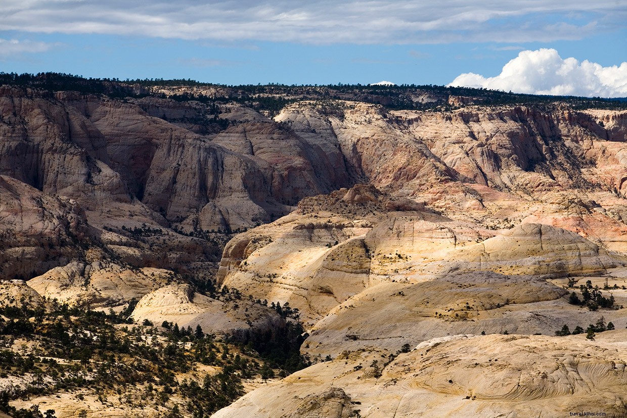 Desert Trek: Surviving a Cold Pool in a Canyon