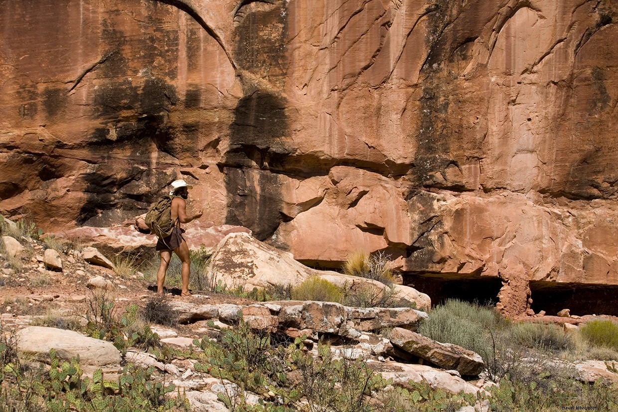Desert Trek: Surviving a Cold Pool in a Canyon