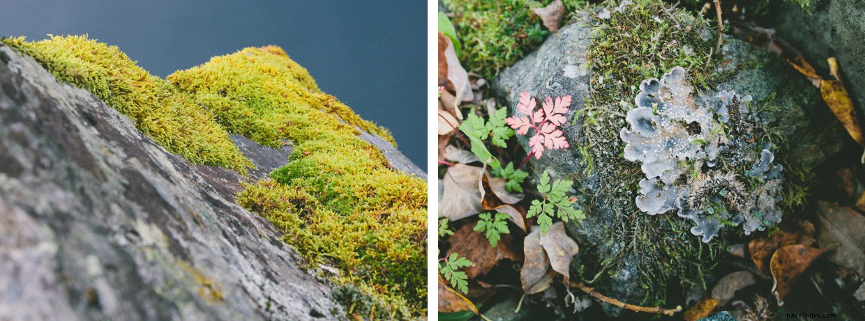 Exploring Northern Scandinavia: A Foot‑Powered Midnight Sun Journey