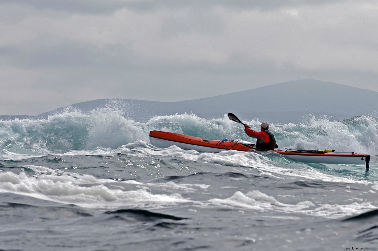 From Orcas to Gannets: A Journey Through the Shetland Isles