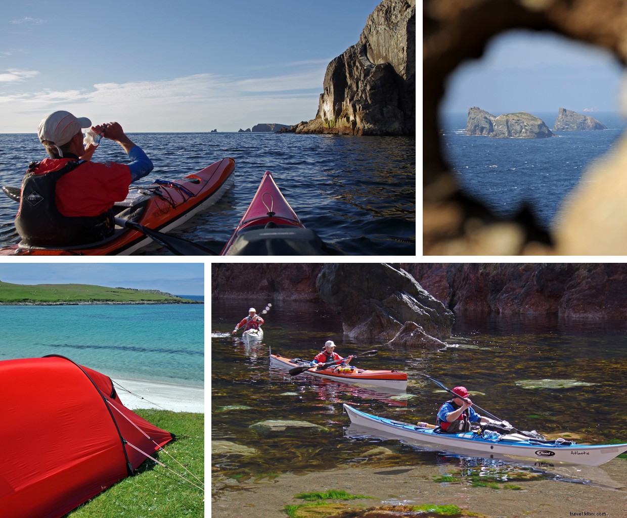 From Orcas to Gannets: A Journey Through the Shetland Isles