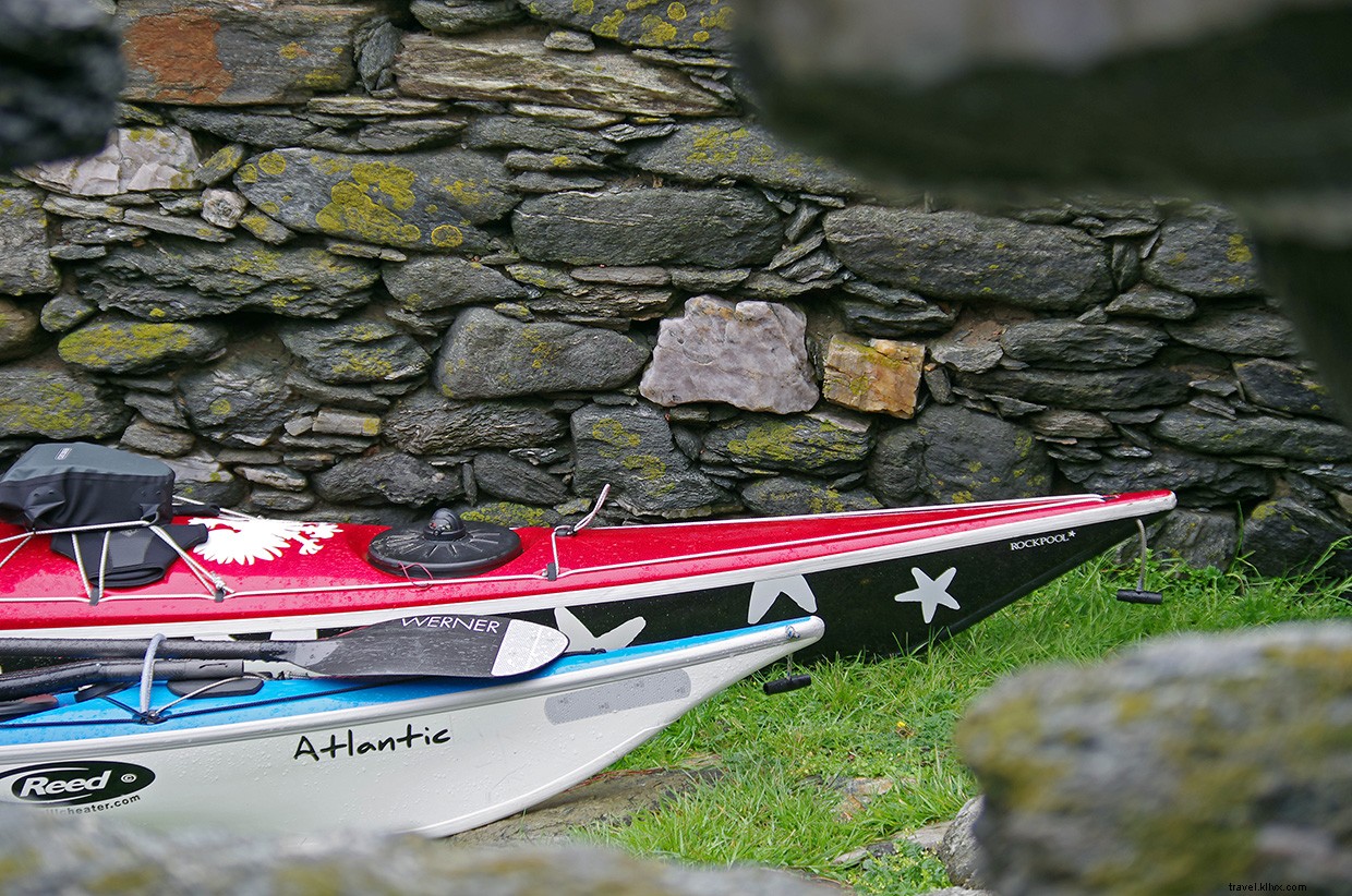 From Orcas to Gannets: A Journey Through the Shetland Isles