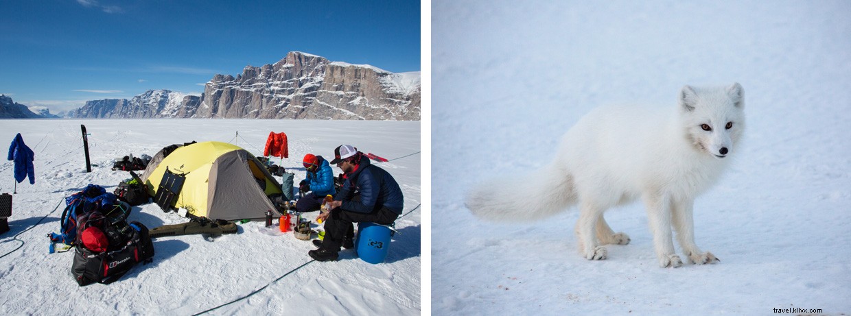 Exploring Baffin Island: Arctic Extremes and Spectacular Cliffs
