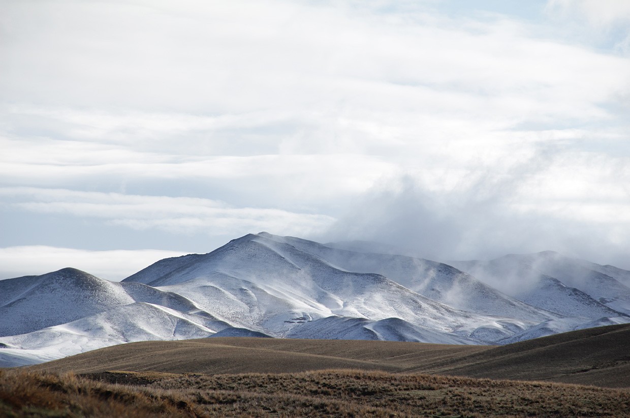 Exploring the Mind: Sarah Marquis s Journey of Discovery