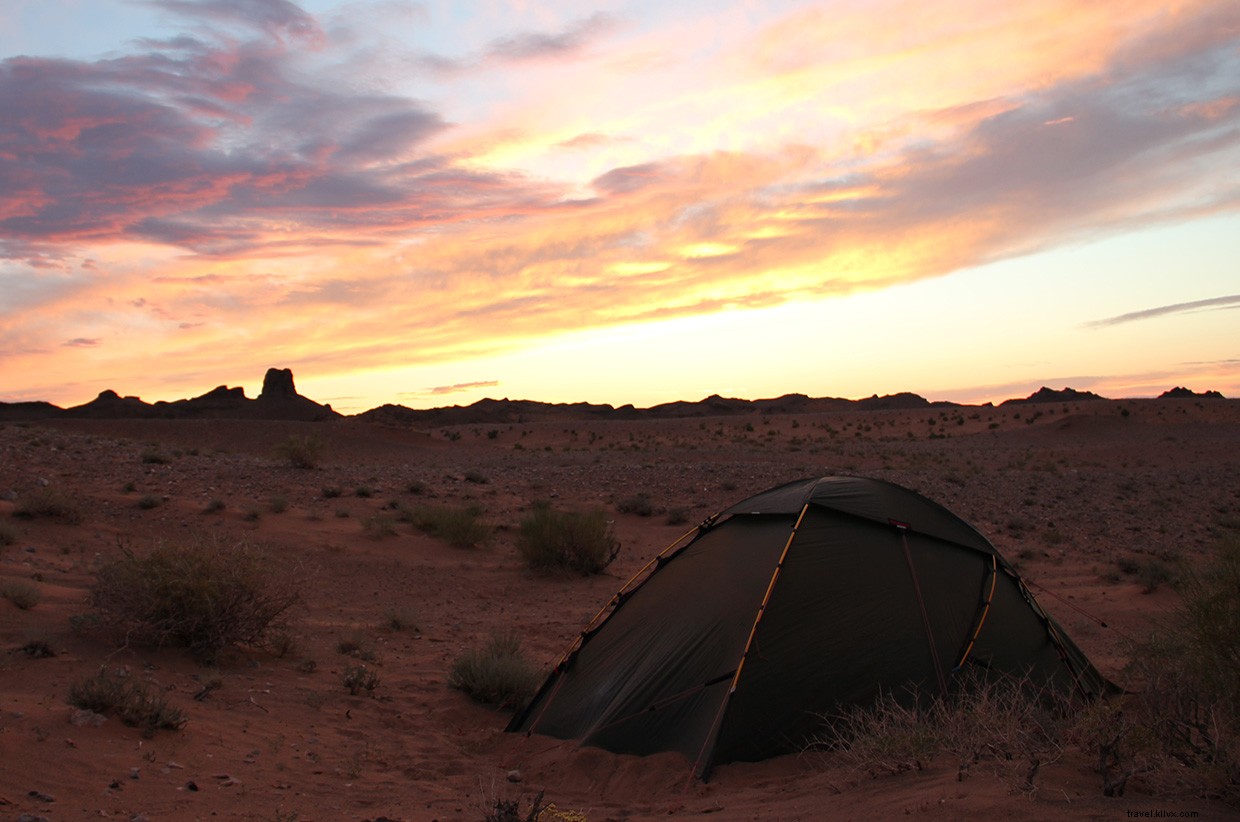 Exploring the Mind: Sarah Marquis s Journey of Discovery