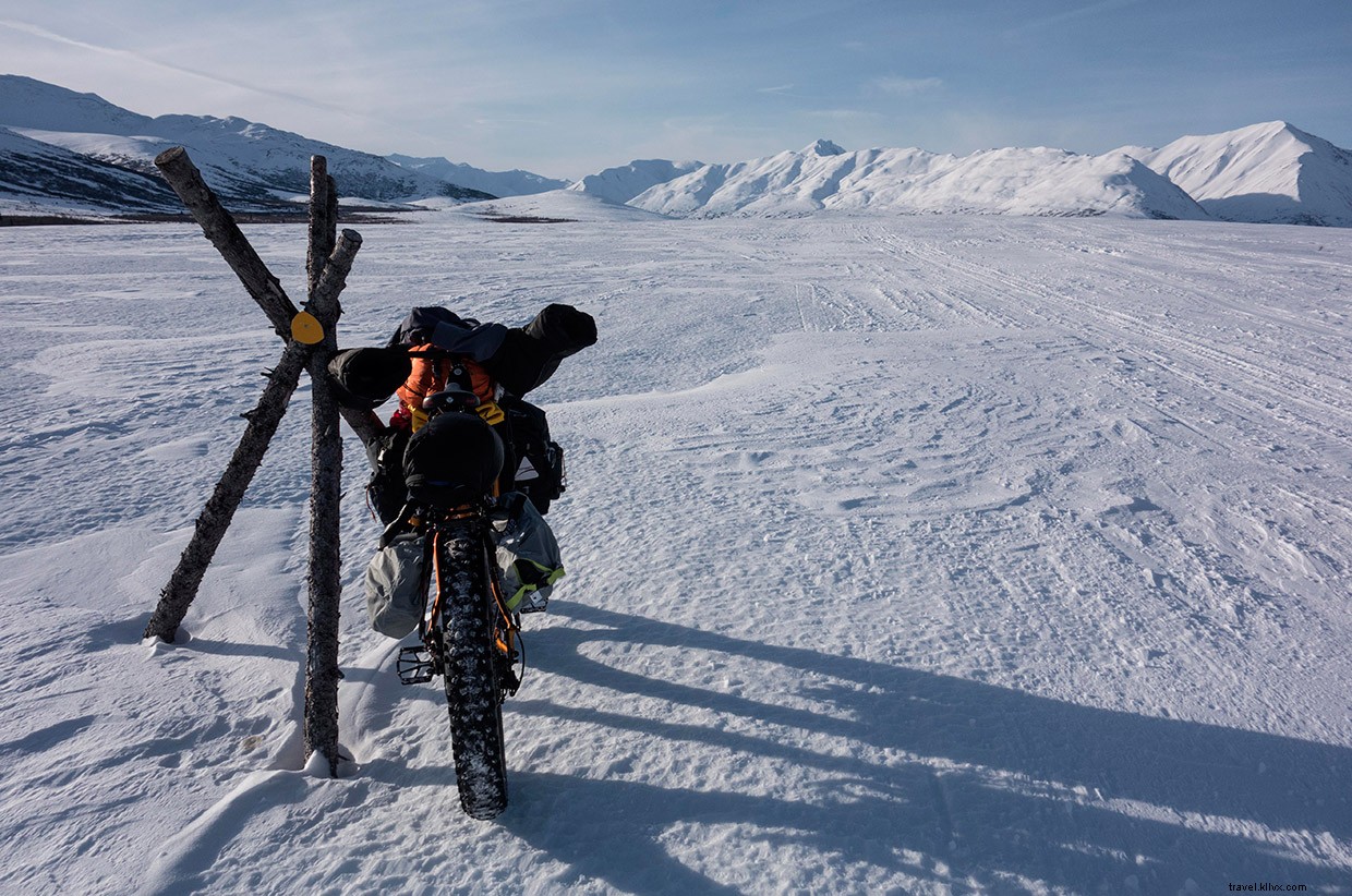 Iditarod Trail Invitational: Alaska s Premier Dog Sled Racing Event