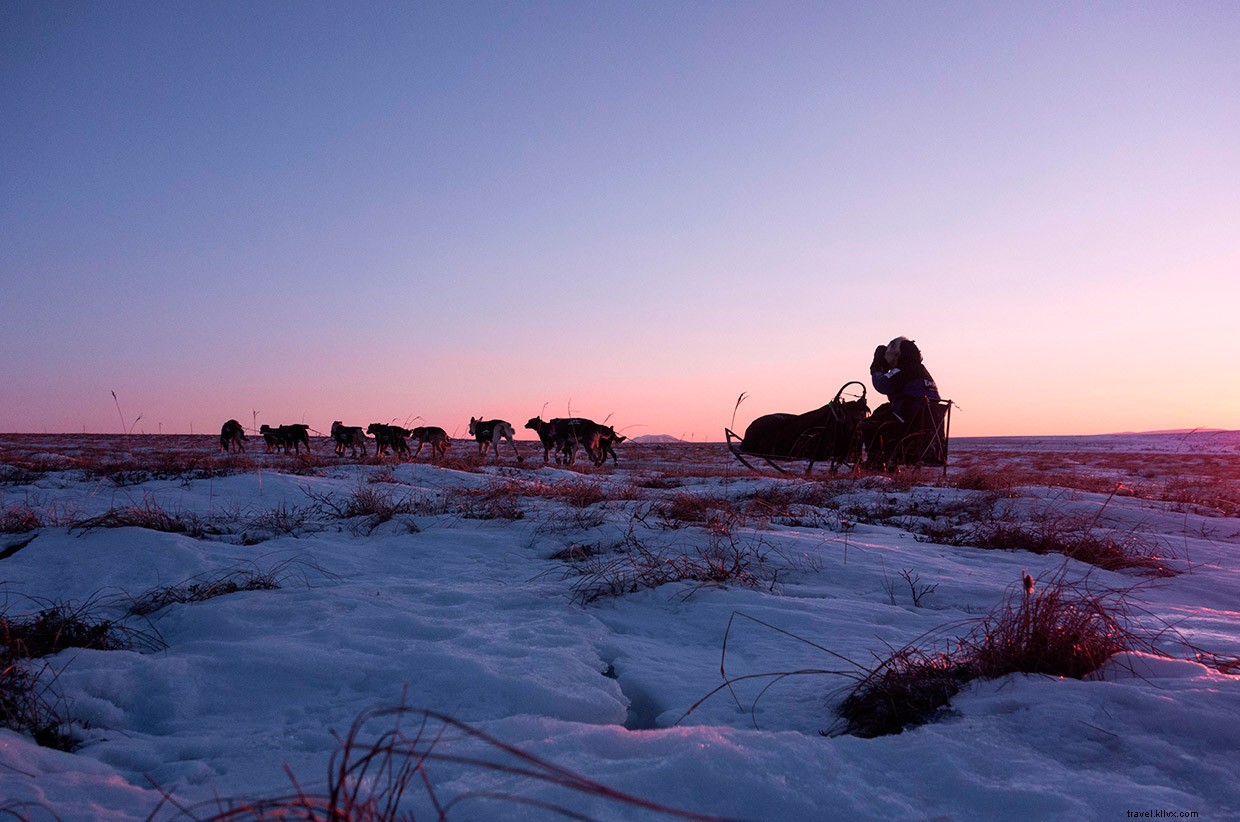 Iditarod Trail Invitational: Alaska s Premier Dog Sled Racing Event