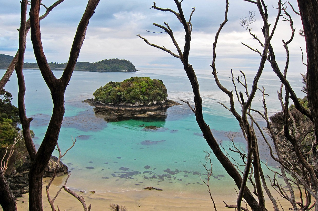 Survival on the Heaphy Track: A New Zealand Thriller